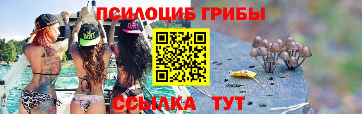 Псилоцибиновые грибы мухоморы  Вход с VPN  Галлюциногенные грибы Psilocybine cubensis  Заречный 