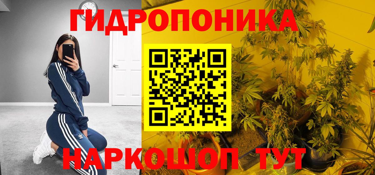 Шишки марихуана Amnesia Заречный